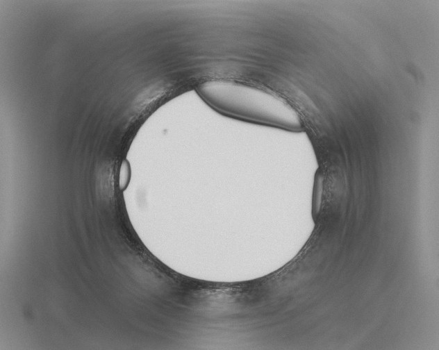 X0000115440120200912161502