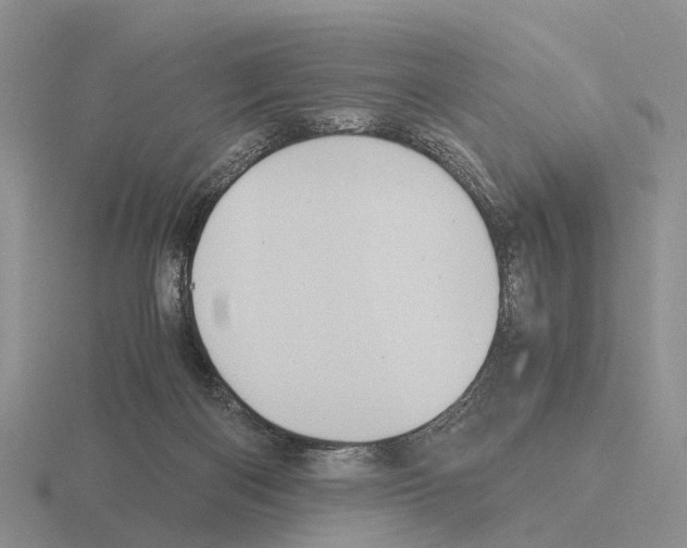 X0000115440122200912161502