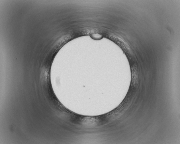 X0000115440123200912161502