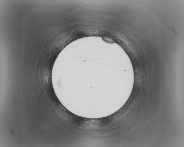 X0000115440125200912161502