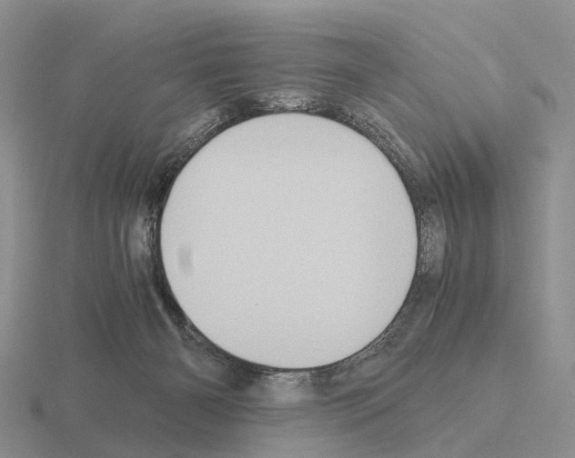 X0000115440126200912161502