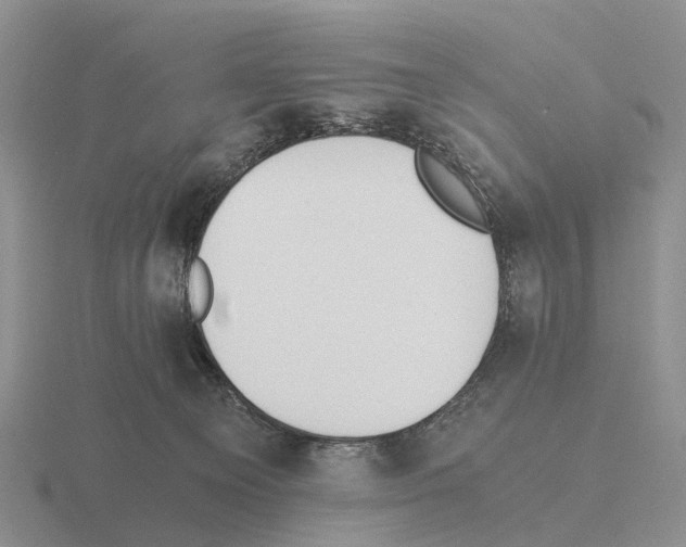 X0000115440129200912161502