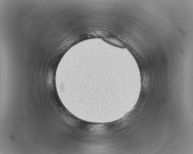 X0000115440132200912161502
