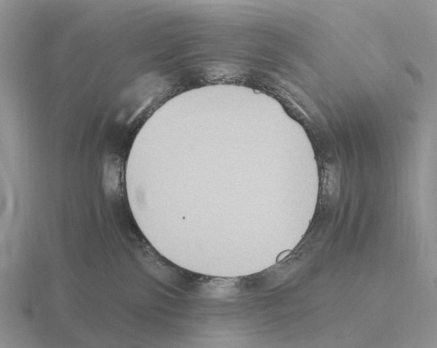 X0000115440138200912161502