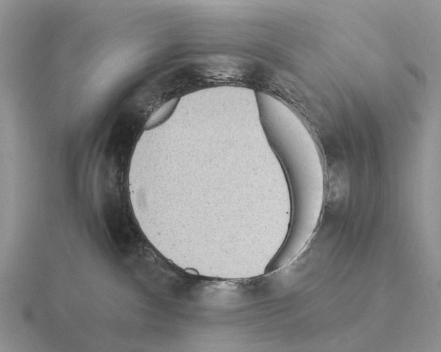 X0000115440140200912161502
