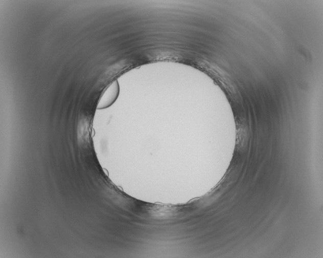 X0000115440142200912161502
