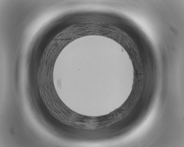 X0000115440143200912161502