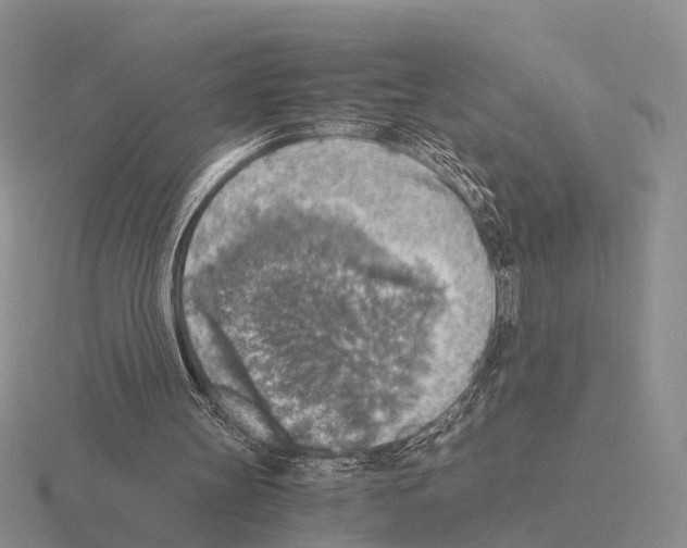 X0000115440147200912161501