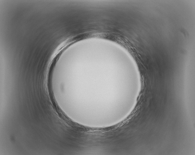 X0000115440150200912161501