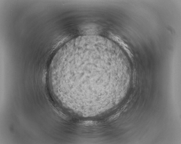 X0000115440153200912161501