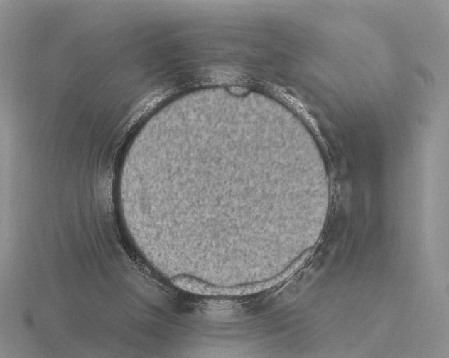 X0000115440154200912161501