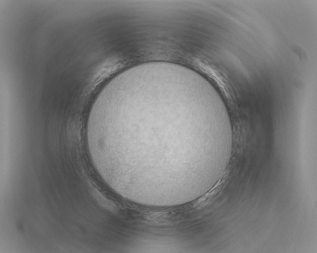 X0000115440162200912161501