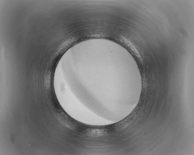 X0000115440163200912161501