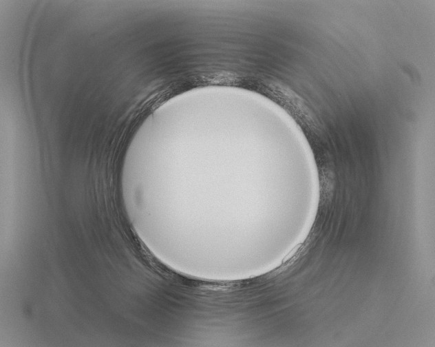 X0000115440170200912161501
