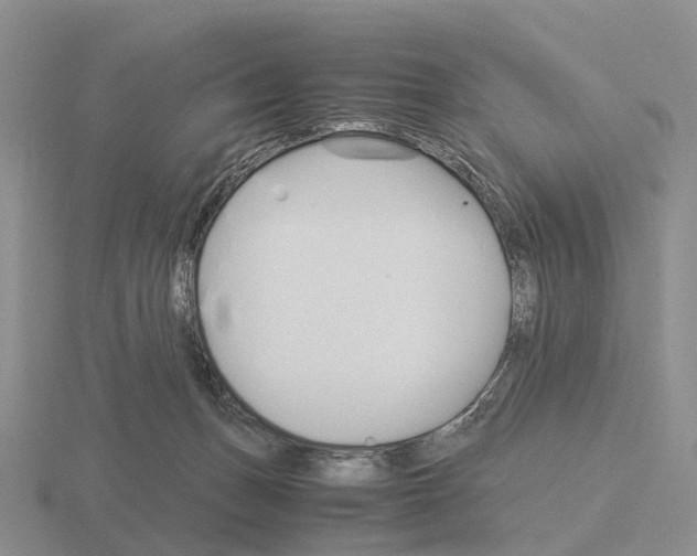 X0000115440175200912161501