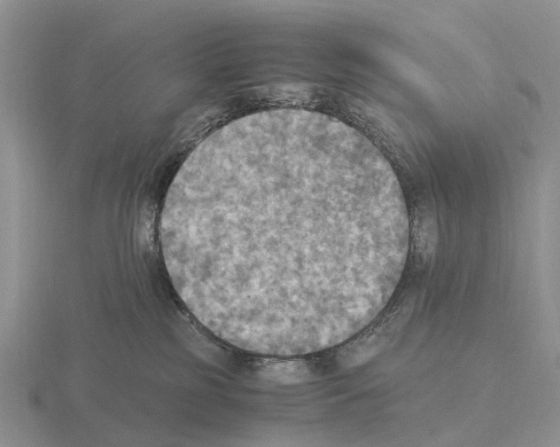 X0000115440185200912161501