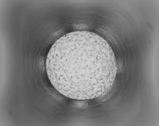 X0000115440187200912161501