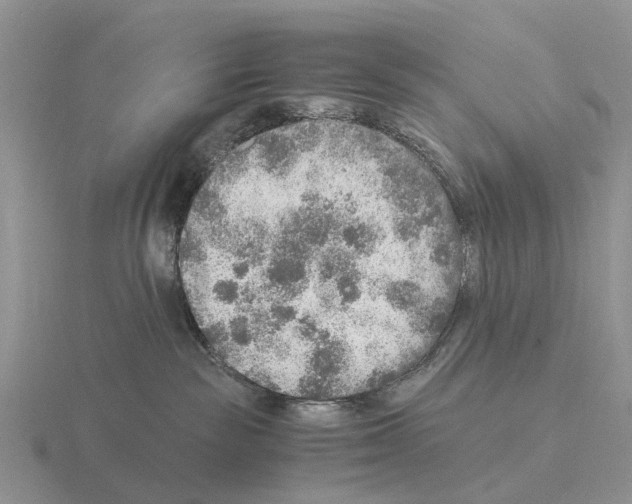 X0000115440189200912161502