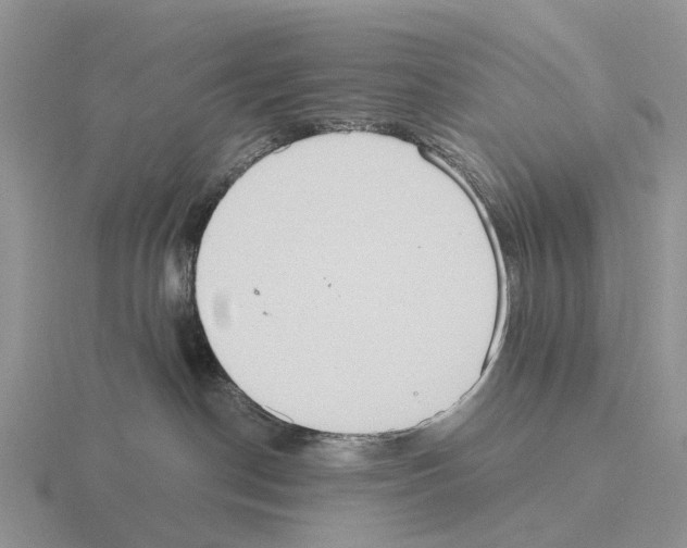 X0000115440190200912161502