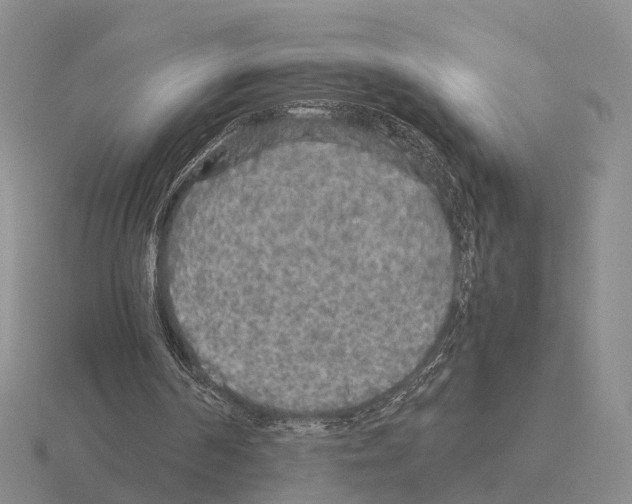 X0000115440194200912161501