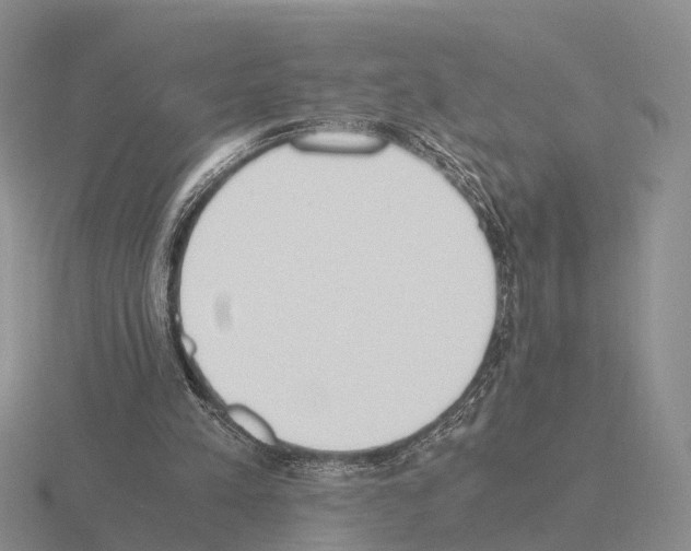 X0000115440197200912161501