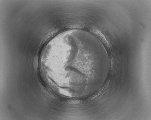 X0000115440202200912161501