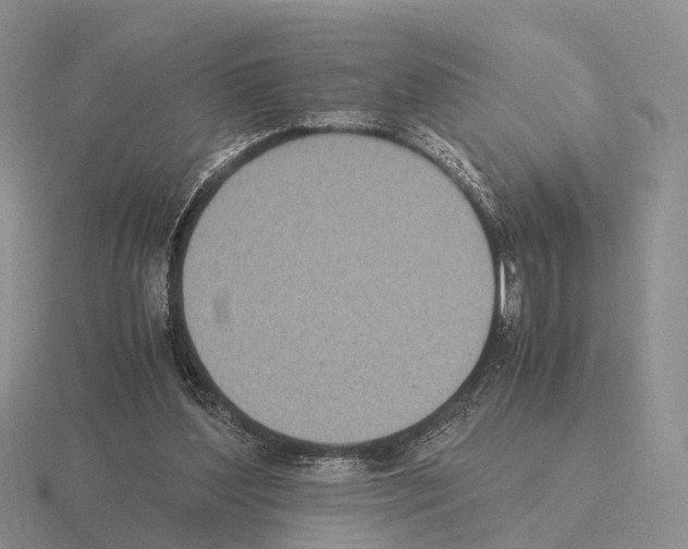 X0000115440204200912161501