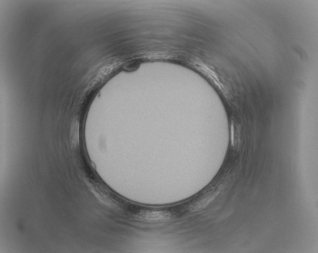 X0000115440205200912161501