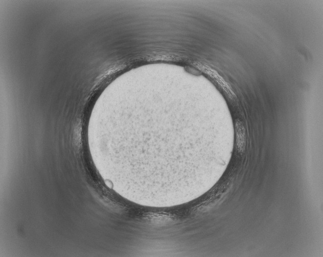 X0000115440207200912161501