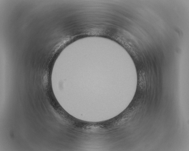 X0000115440208200912161501