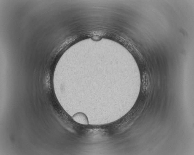 X0000115440212200912161501
