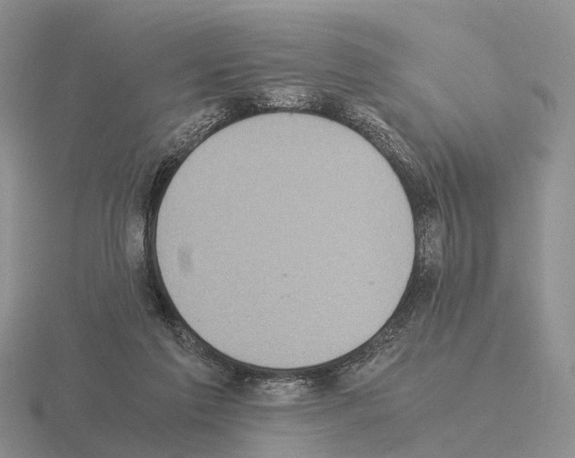 X0000115440213200912161501