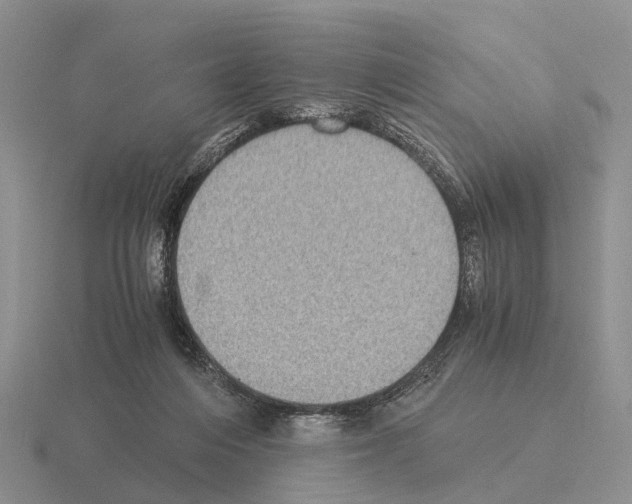 X0000115440216200912161501