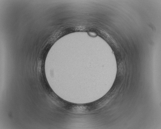 X0000115440217200912161501