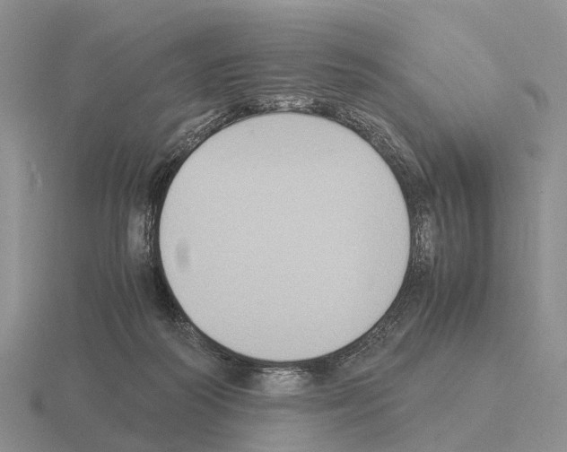 X0000115440218200912161501