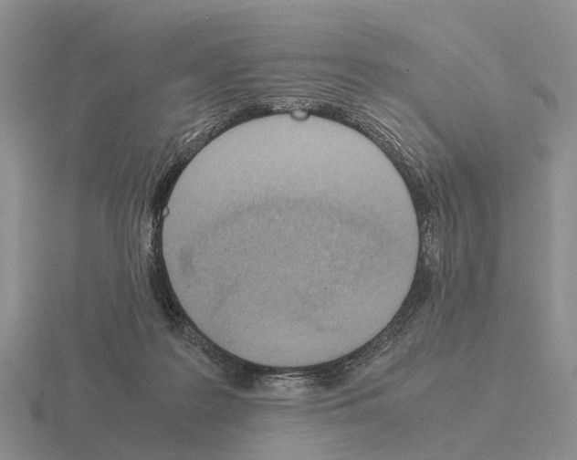 X0000115440219200912161501