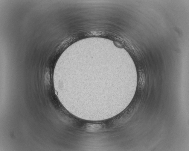 X0000115440220200912161501