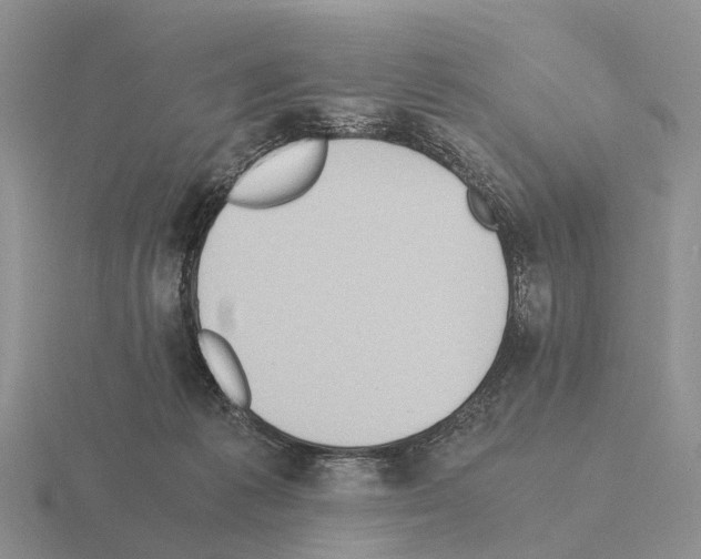 X0000115440221200912161501
