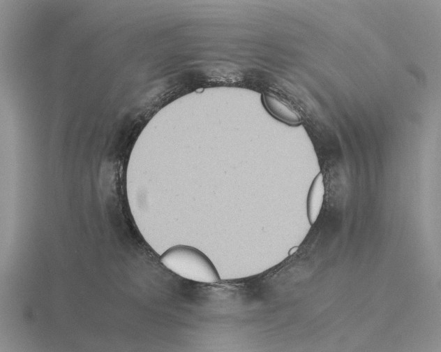 X0000115440229200912161500