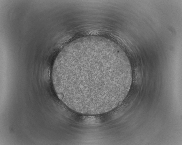 X0000115440230200912161500