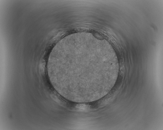 X0000115440231200912161500