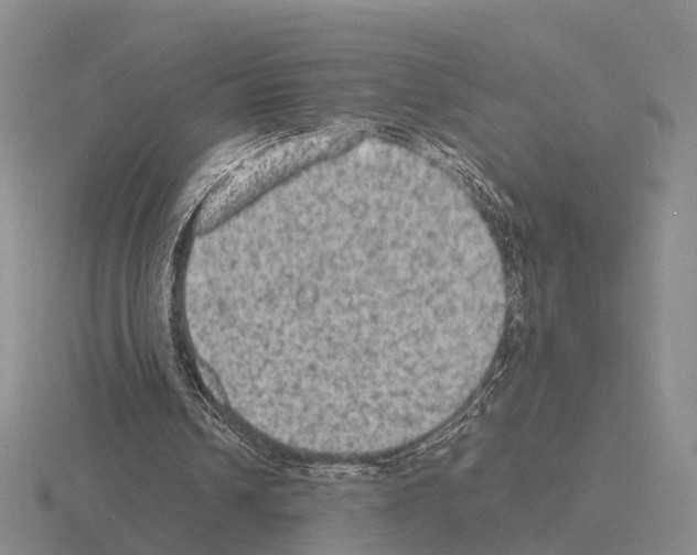 X0000115440242200912161500