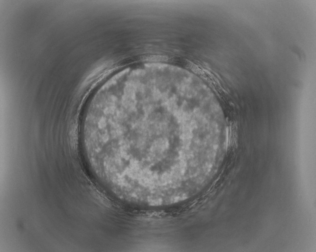 X0000115440243200912161500