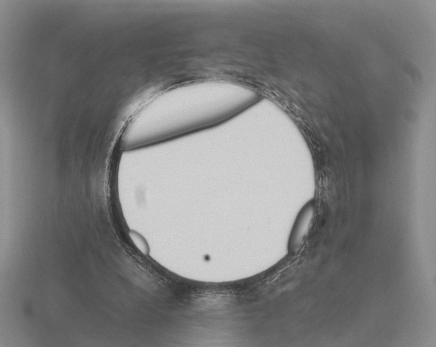 X0000115440248200912161500