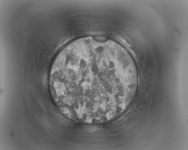 X0000115440249200912161500
