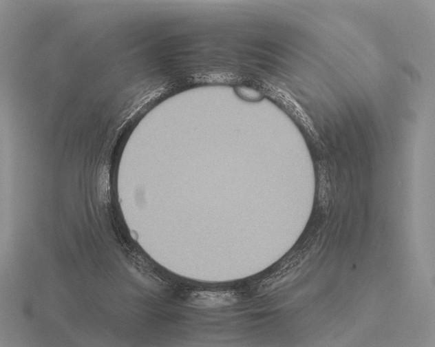 X0000115440251200912161500