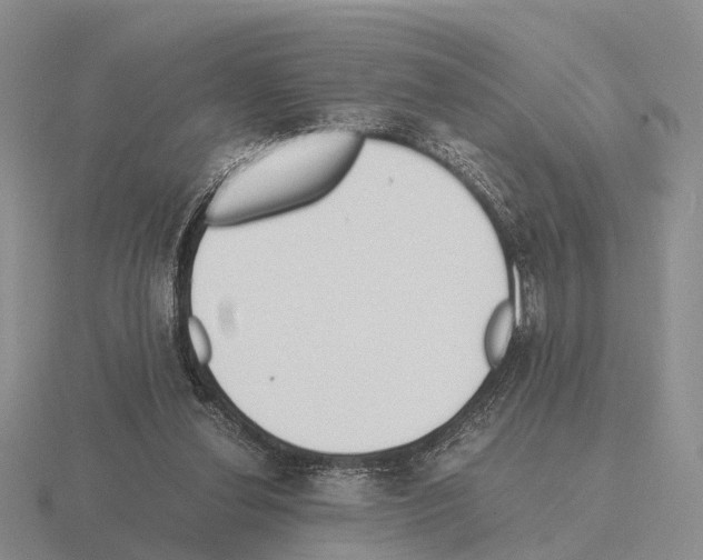X0000115440252200912161500