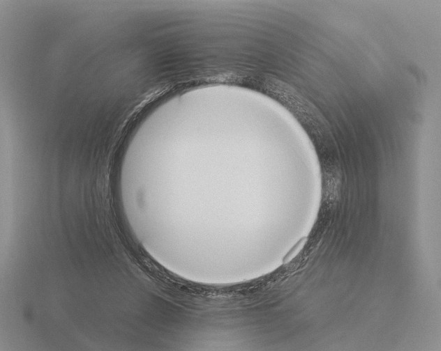 X0000115440256200912161500