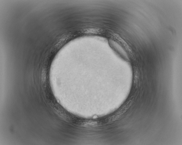 X0000115440257200912161500