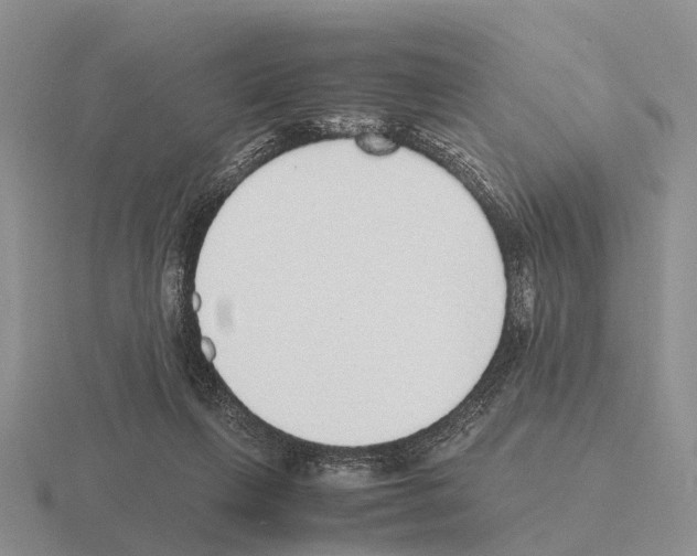 X0000115440263200912161500